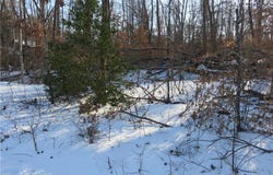 Hackney Road, Goochland, VA 23063