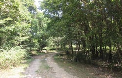 Monroe, Campbell, MO 63933