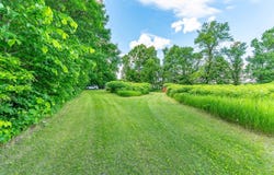 365XX Co Rd 35, Dent, MN 56528