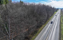 Route 7 S, Middlebury, VT 05753
