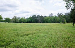An CR 336, Palestine, TX 75803
