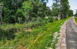 Aila Street lot: 10, Diamondhead, MS 39525