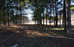 Sweetgum Drive, Murchison, TX 75778