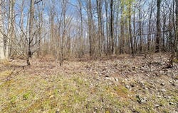 248 ROTHFIELD CIRCLE, SHADY SPRING, WV 25918