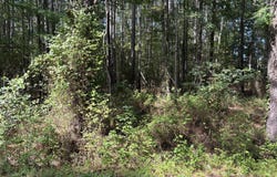 Carver School Road, Henderson, NC 27537