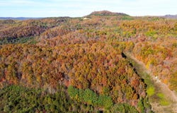 01 White Oak Rd., Duff, TN 37729