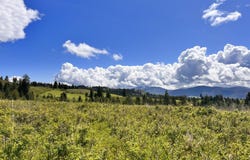 27 MOONLIGHT Dr, CURLEW, WA 99118