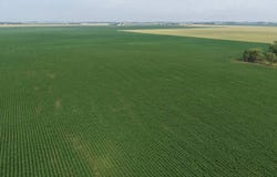 1 1111, Canton, SD 57013