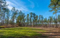 Addie Dairy Road, Preston, GA 31824