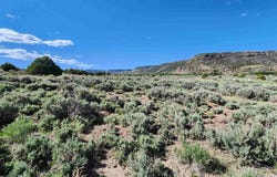 Conejos River Trails lot: 11, Antonito, CO 81120