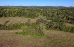0 Highway 25, Vincent, AL 35178