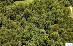 Willard Creek Ln, Stuart, VA 24171