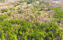 511 Midway Road, Rockingham, NC 28379