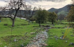 Lupine Drive, Sanger, CA 93657