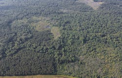 AREA 4 ROAD, Chatham, LA 71226