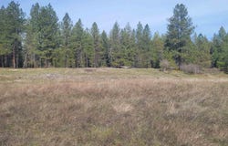 4528 Stonebrook Way, Springdale, WA 99173