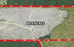 Mink Branch Road, Pelahatchie, MS 39145