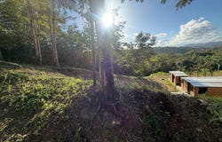 Ave. Praderas Pl Bo. Rincon Lomas, Cayey, 00736