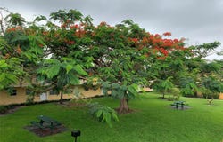 5168 NE 6th Avenue, Fort Lauderdale, FL 33334