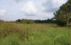 White Oak Road Tract B, Wilsons, VA 23894