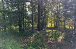 NC 2430, Jasper, AR 72641