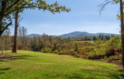 7337-4B DICK WOODS RD, AFTON, VA 22920