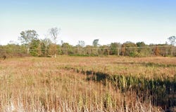 58250 North Avenue, Ray, MI 48096