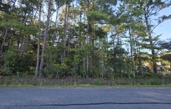 Buck Drive, Georgetown, SC 29440