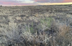 Esperanza - Lots 6-8 Avenue, Moriarty, NM 87035