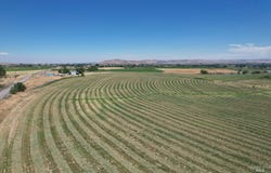 Greenfield Road, Vale, OR 97918