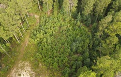 Tract 2 Bridle Path Road, Camden, SC 29020