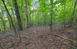 State Route 534, Symsonia, KY 42082