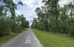 SW DOE Road, MAYO, FL 32066