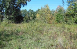 3572 N Ball Avenue, Harrison, MI 48625