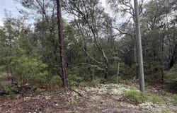 402 Deeda St, Florahome, FL 32140