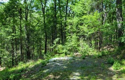 29 BLUFF Trail, GERRARDSTOWN, WV 25420