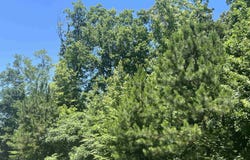 Excalibur Trail (Lot 239), Cedar Grove, TN 38321