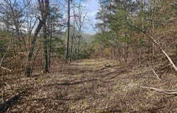 Fawn Road, Big Flat, AR 72617