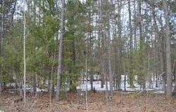 1971 BUNKER DRIVE, KALKASKA, MI 49646