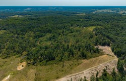 Berry Road, Cabool, MO 65689