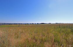 Stuart Road, Parcel A, Orofino, ID 83544