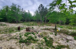 ----- SR 19, Dublin, GA 31021