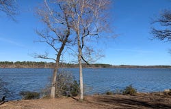 3266 Shadow Pine Drive, Larue, TX 75770