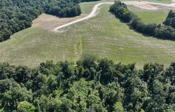 Tract #4 off Ames Way, Jackson, MO 63755
