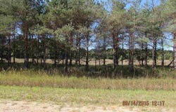 440 KLEEHAMMER CLUB DRIVE, KALKASKA, MI 49646