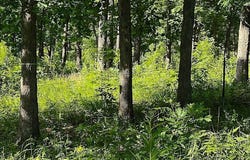 36501 Mohave Drive, Eldridge, MO 65463