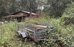 319 Shady Lane, Waynesville, GA 31566