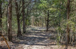 4.81 AC Pauline Lane, Caldwell, TX 77836