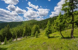 2342 Sirius View, Kalispell, MT 59901