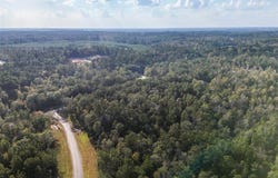 11615 Dawn Tree Lane, Willis, TX 77378